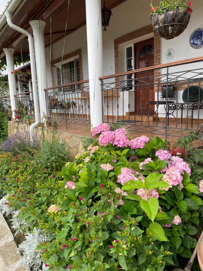 Country Club La Mesteceni Sebeş Exteriér fotografie